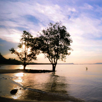 CC在线压力测试