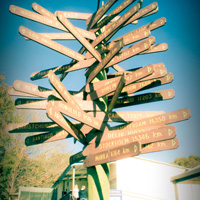 数据分析利器的DDOS接单平台