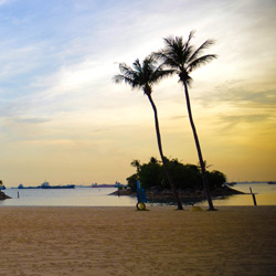 自动发货专业的DDOS测试