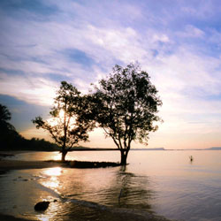 让您更轻松的DDOS测试